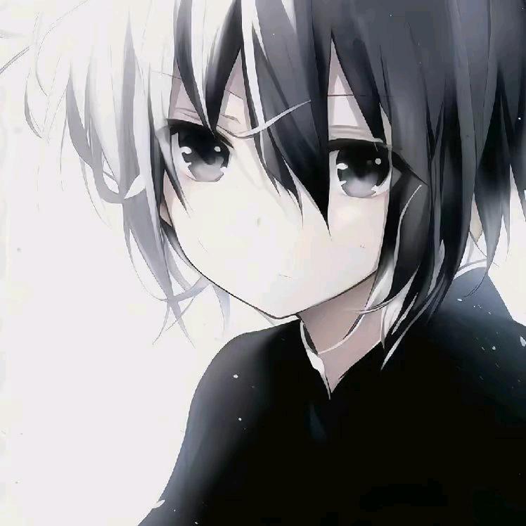 谢不柔