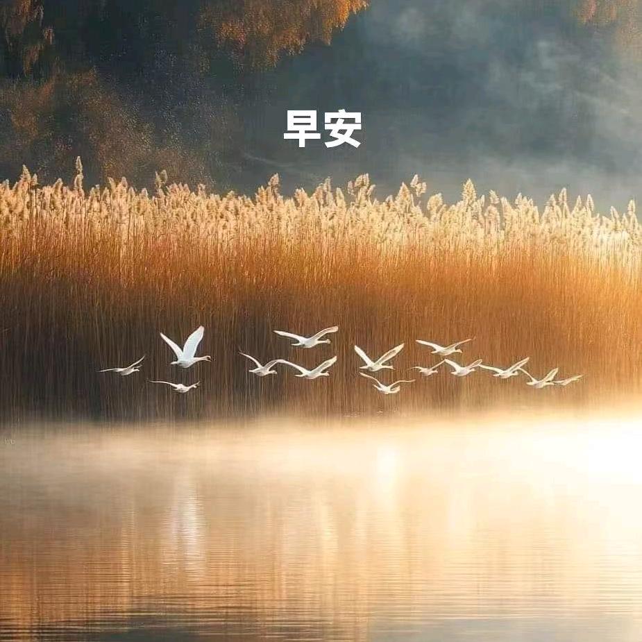 乐享家家用电器专营店