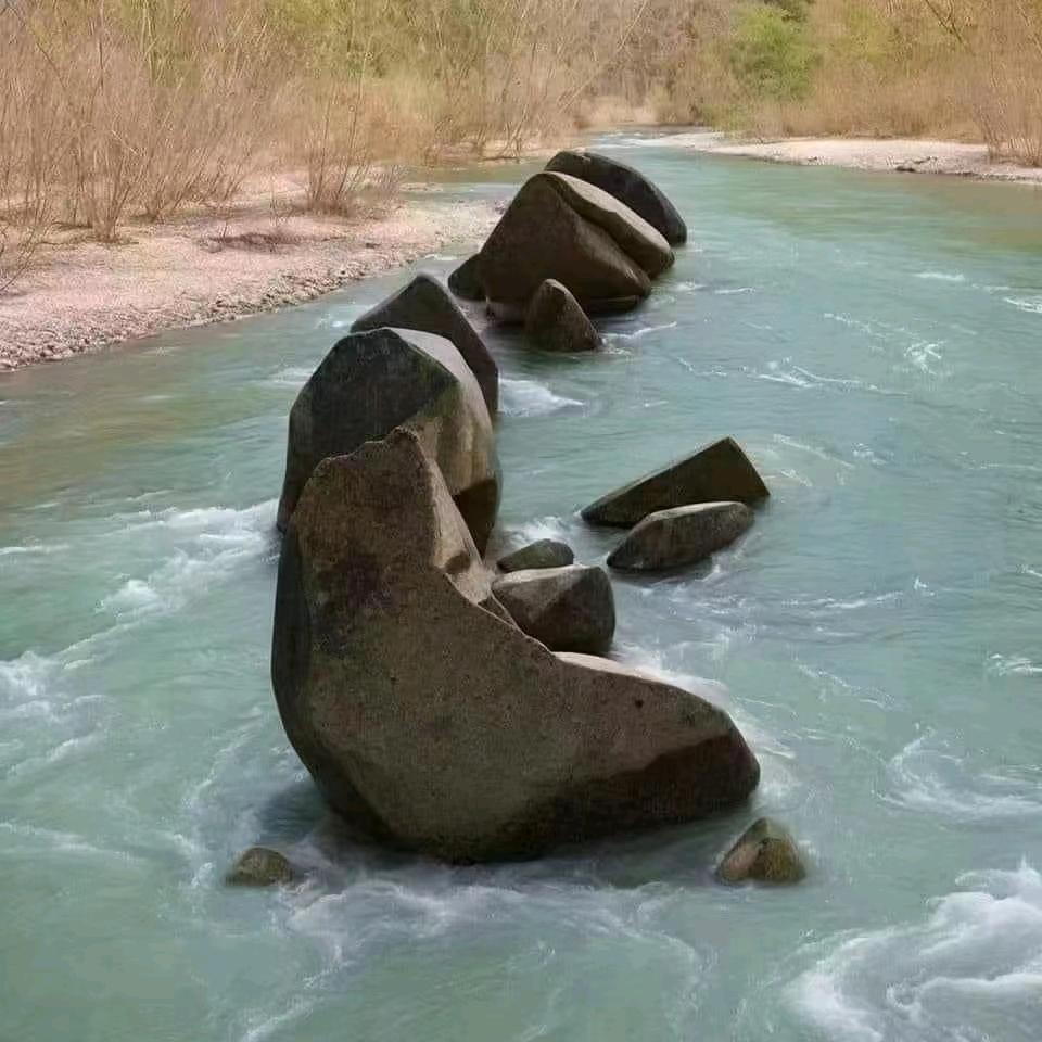 知 了