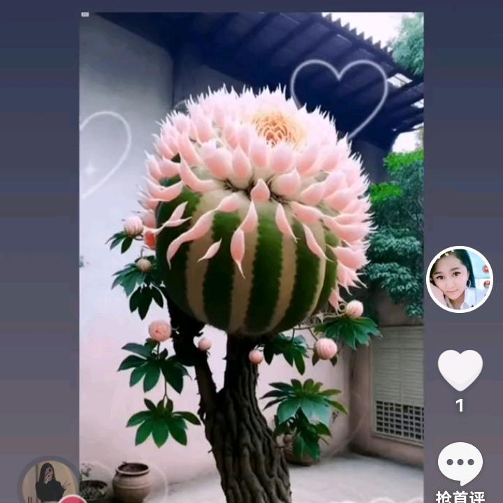 财哥来了