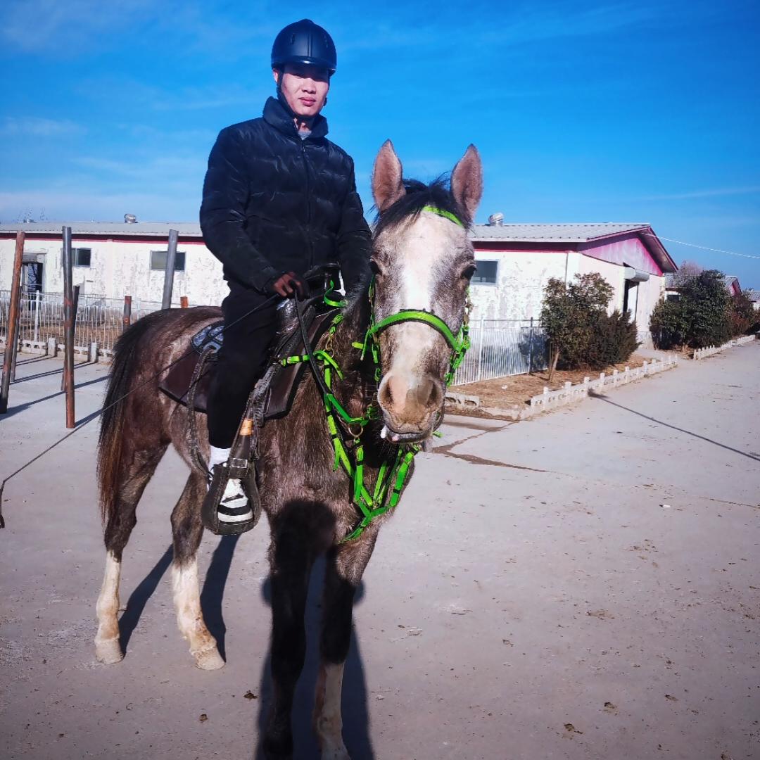 程可爱骑马🐴
