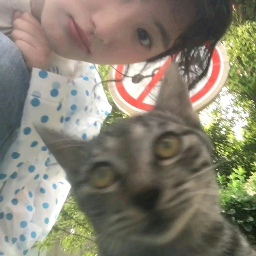 十九