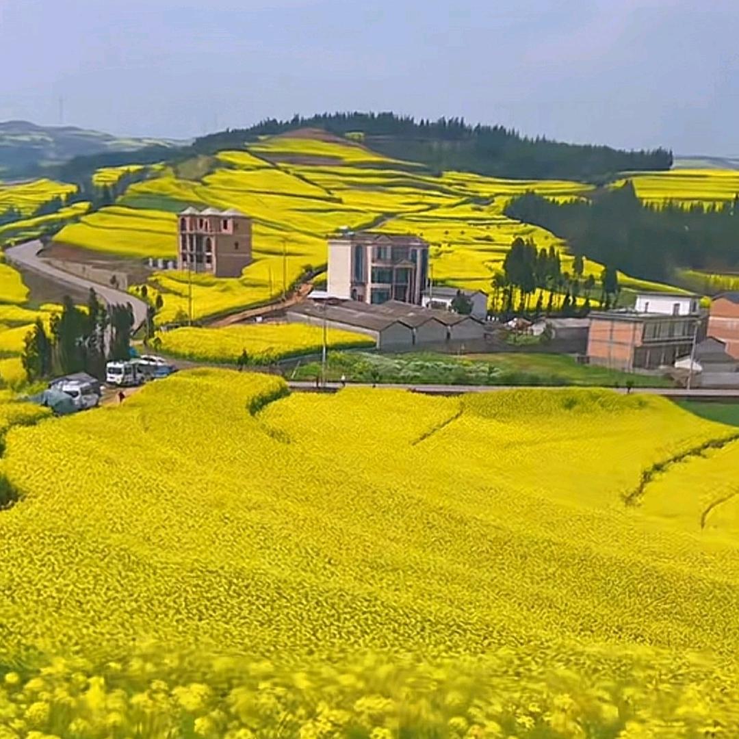 桐梓 二手房买卖房 出租房