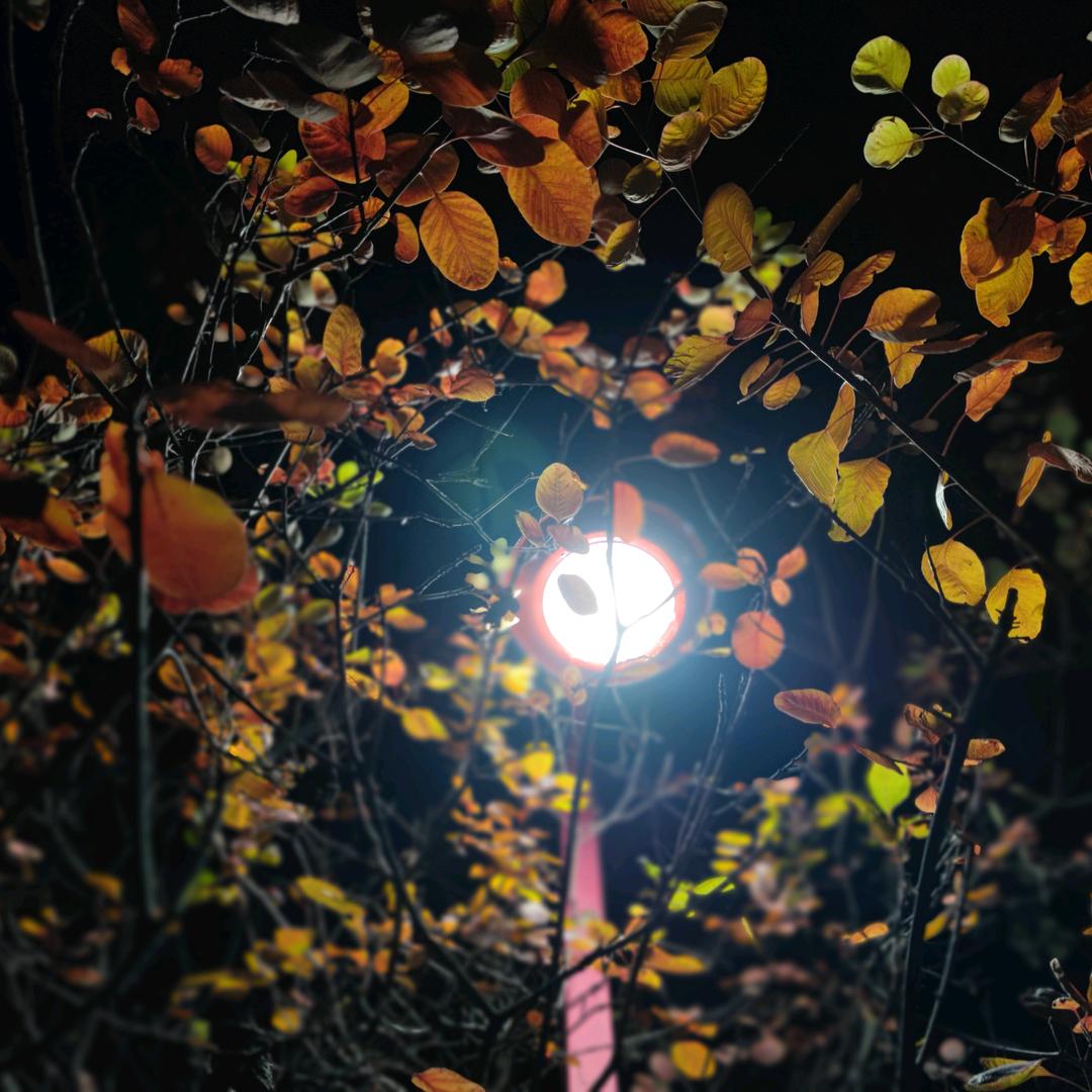 暂时用这个名字