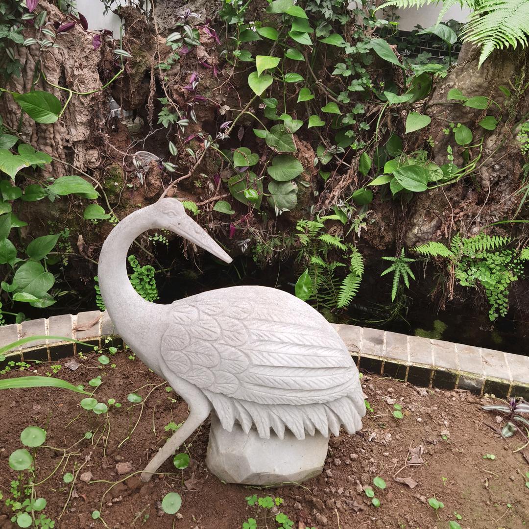 幸福姐