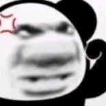 成都一环路都市丽人：