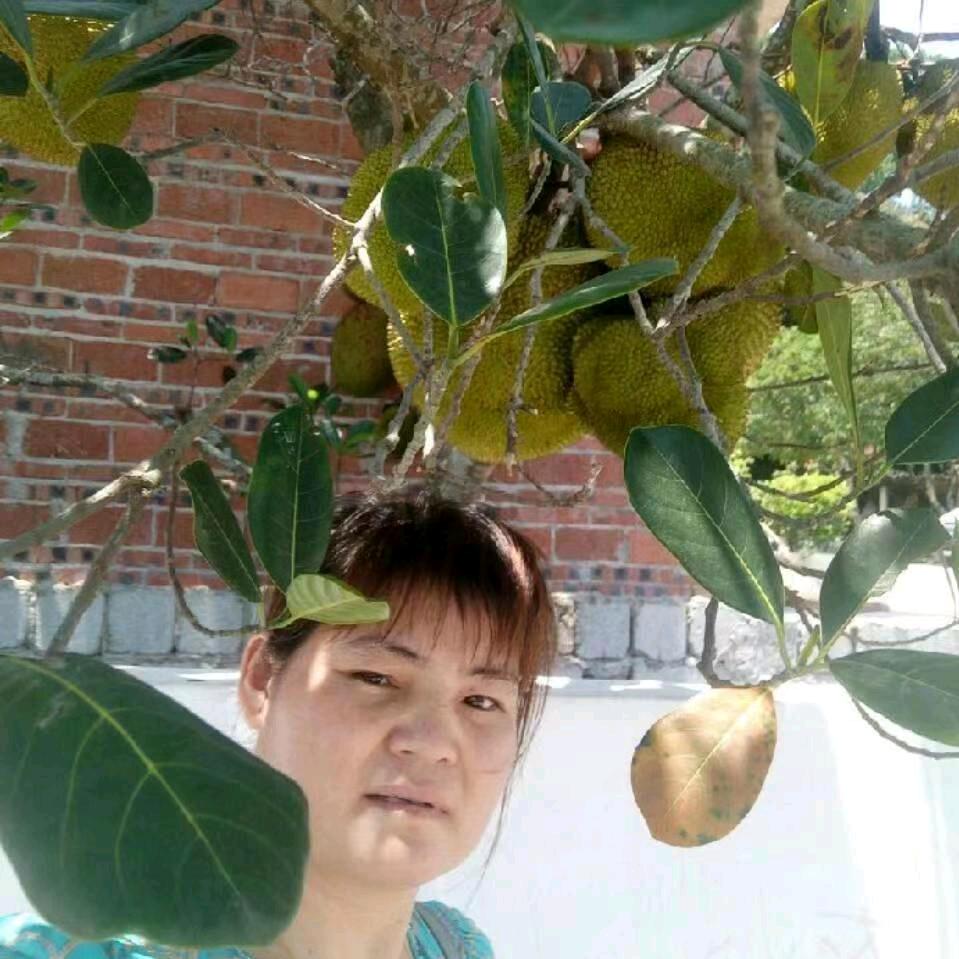 羊姐