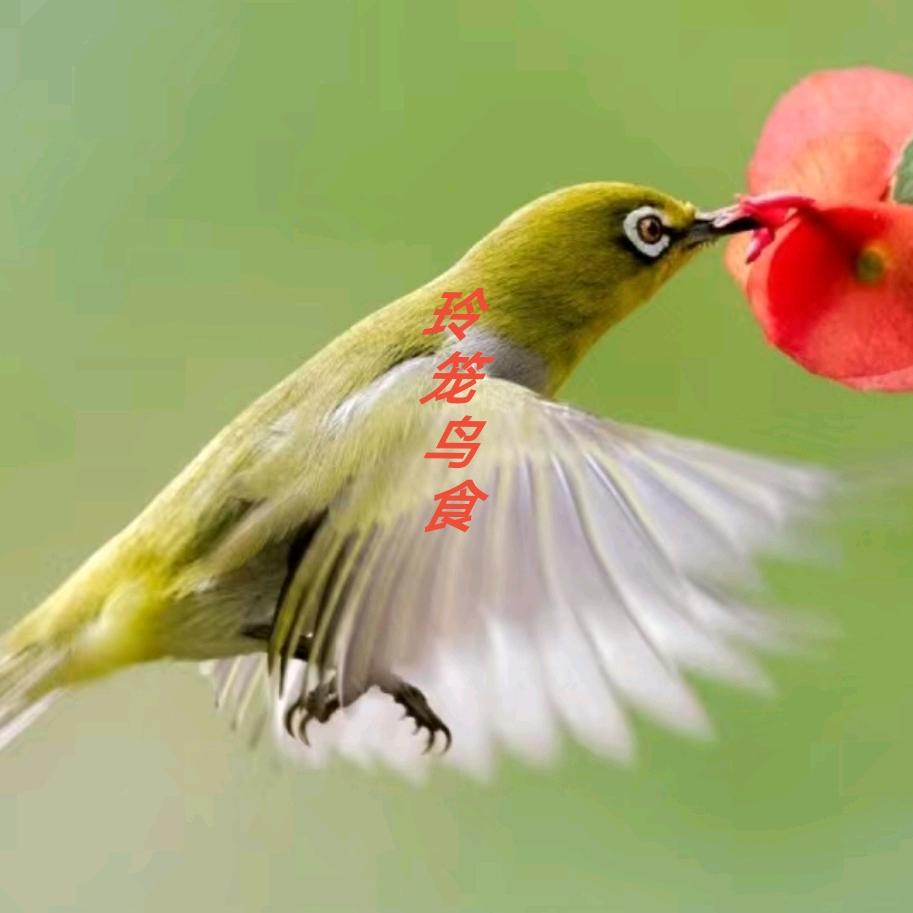 凤临江湖(玲笼鸟食)