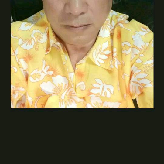 劲松