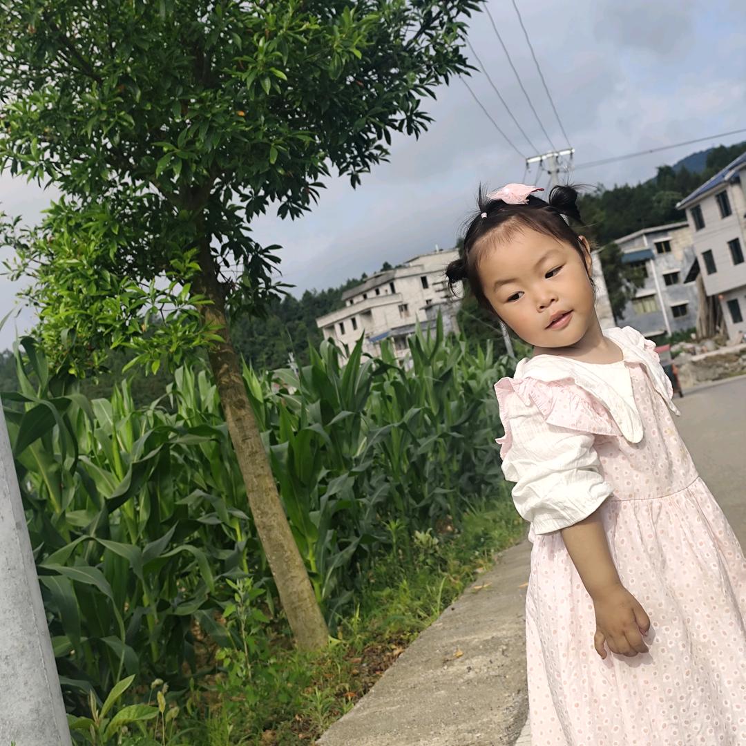 ✨一口南瓜饼🌟