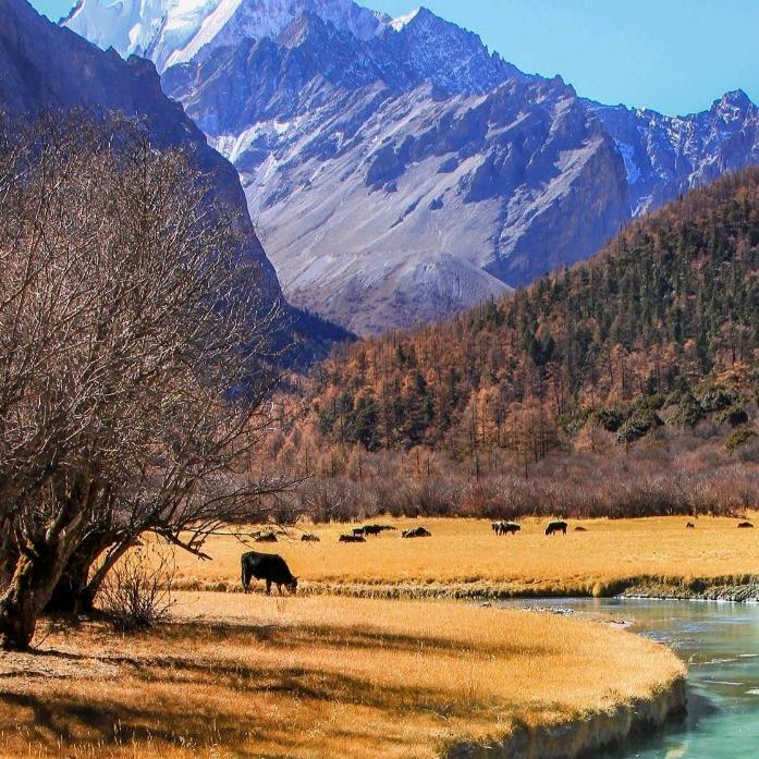 一如～往昔的湉☀️vierra