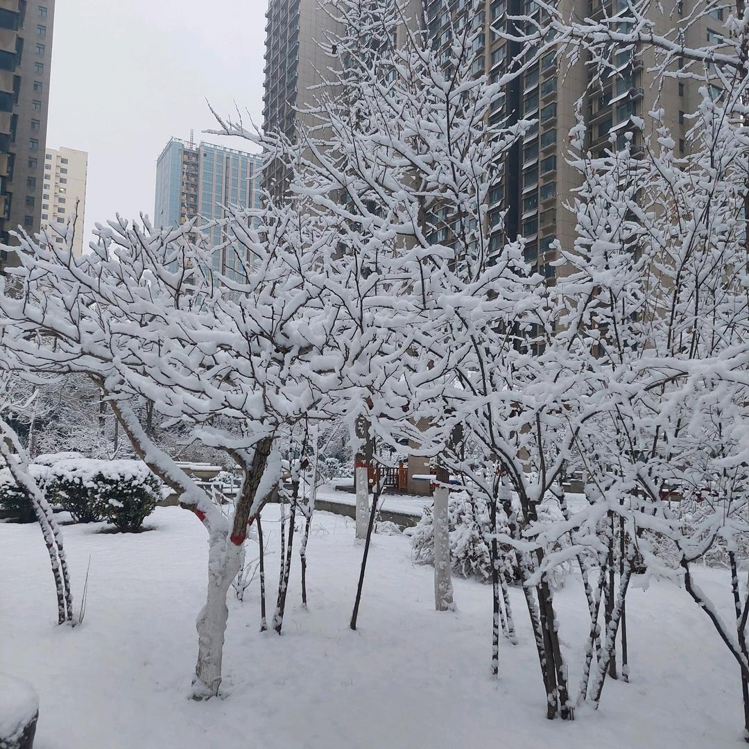 给点阳光就灿烂