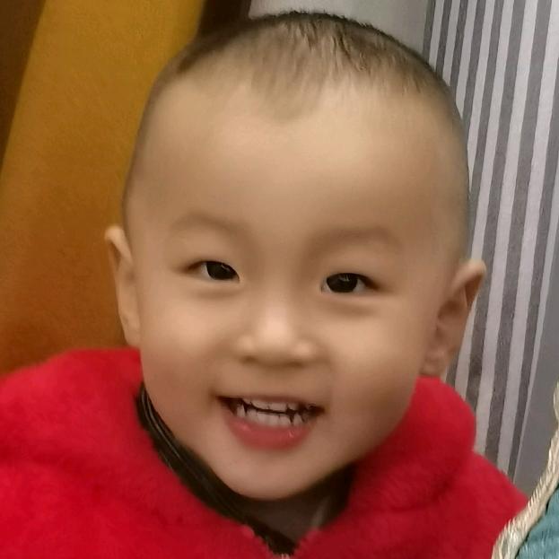 成长中的阿虎