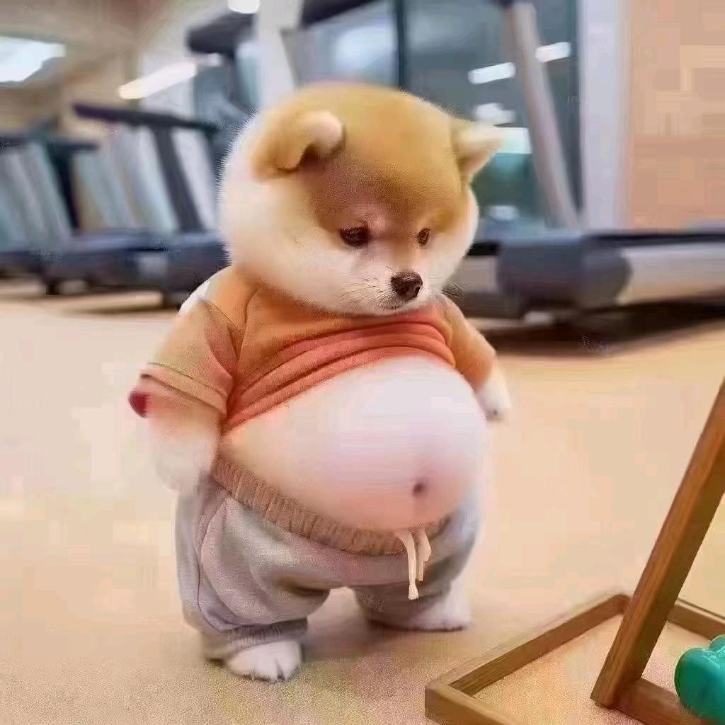 韦韦美食🔥
