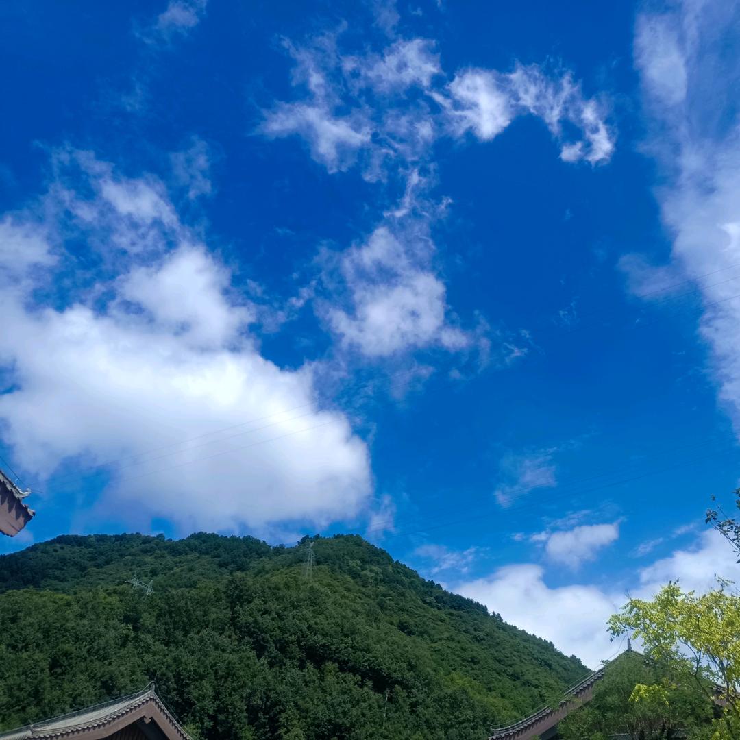 古采尼