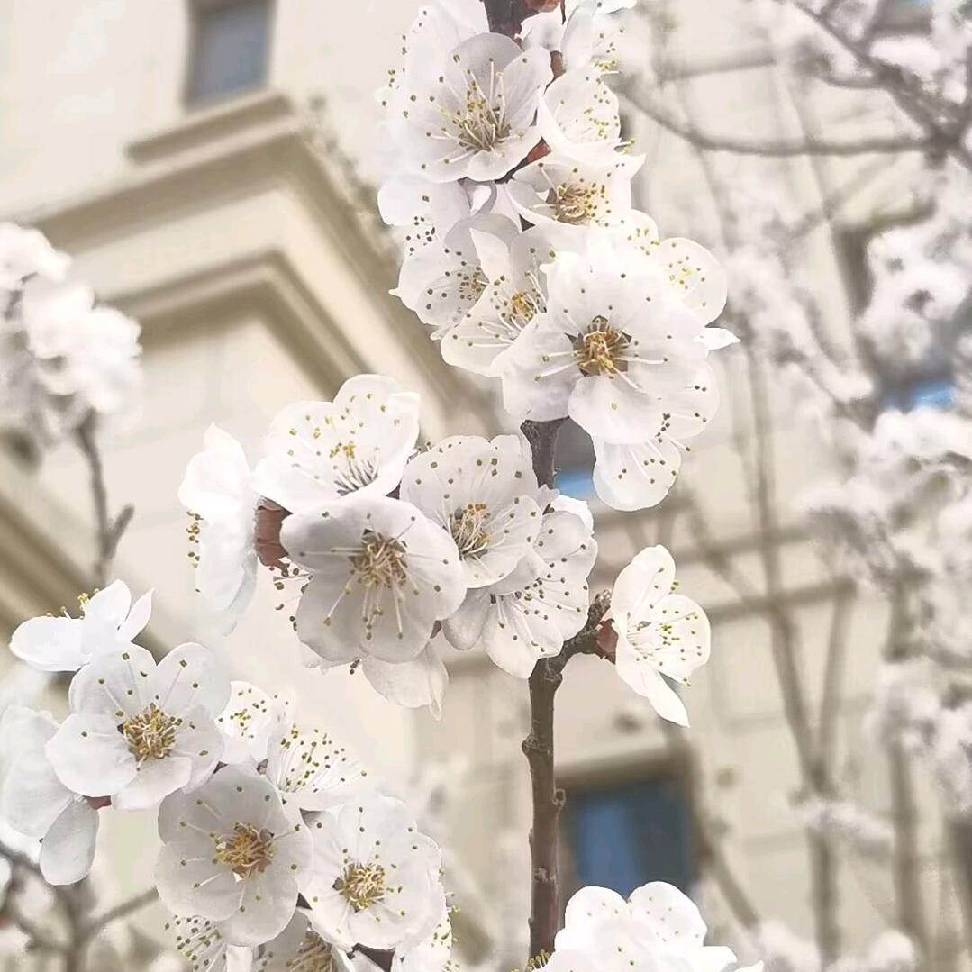 ñì嬺の♡廿廿🎣
