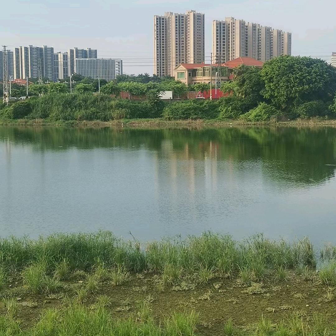 用户8929429221946