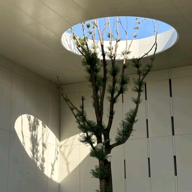 你就在出现在我的世界里