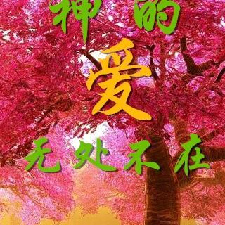 漂渺的尘埃