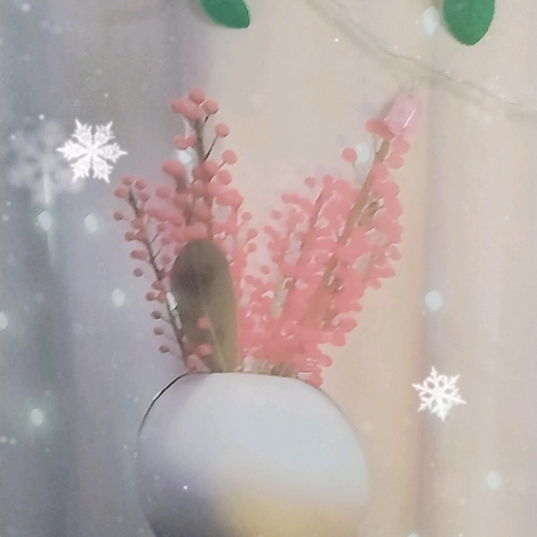 👩‍🦰单身富婆🍷🍎爱你们