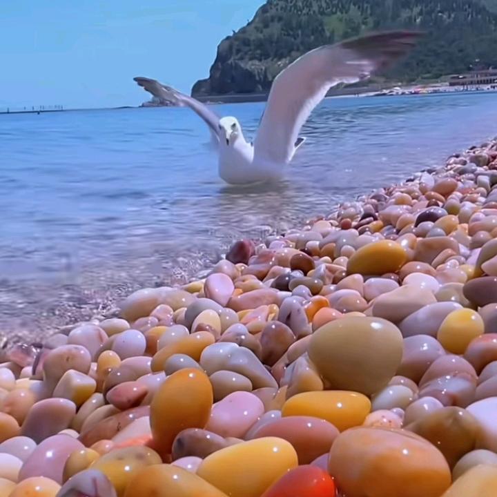 仟哥