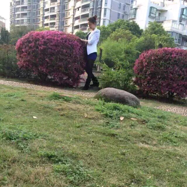 百鸽文化传媒（深圳）有限公司