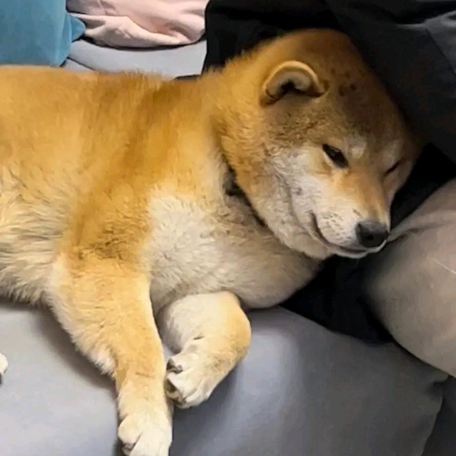 普约尔