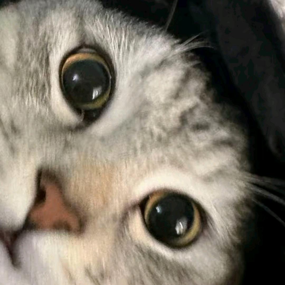 涵