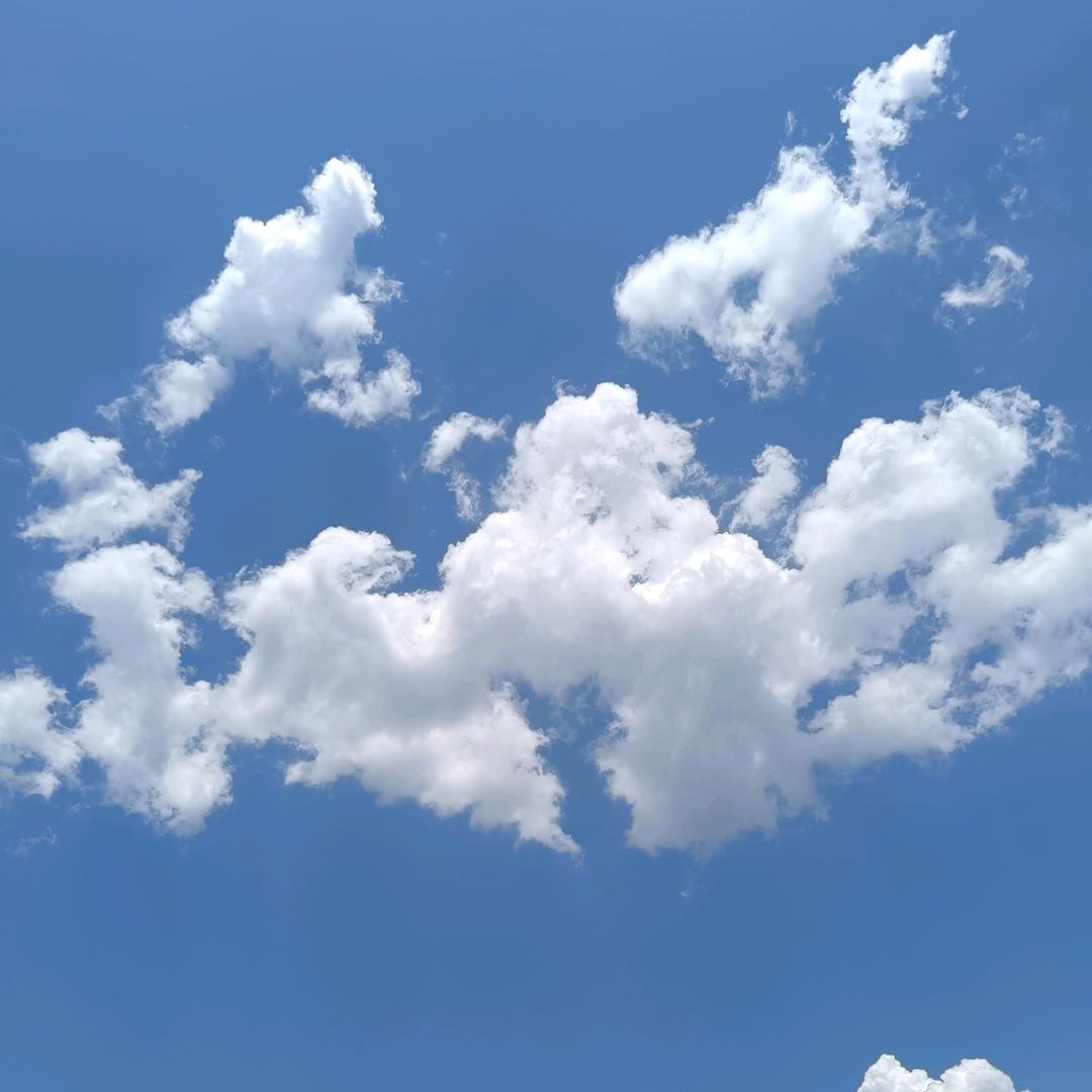 搜一热