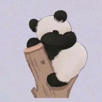 小布丁丁