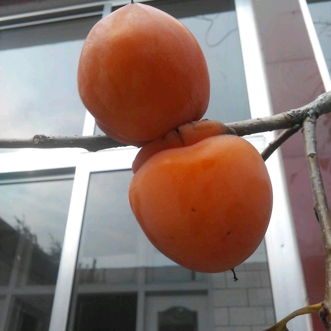 甜甜的棒棒糖🍭