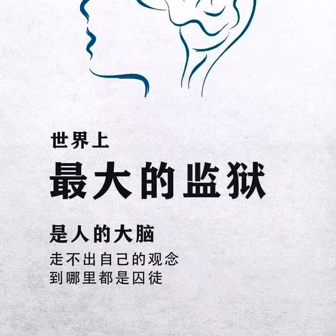 比牛顿牛