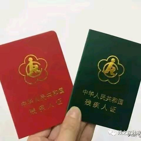 杨🇨🇳🇨🇳🇨🇳