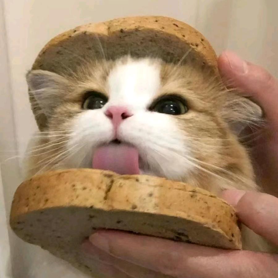 小魏