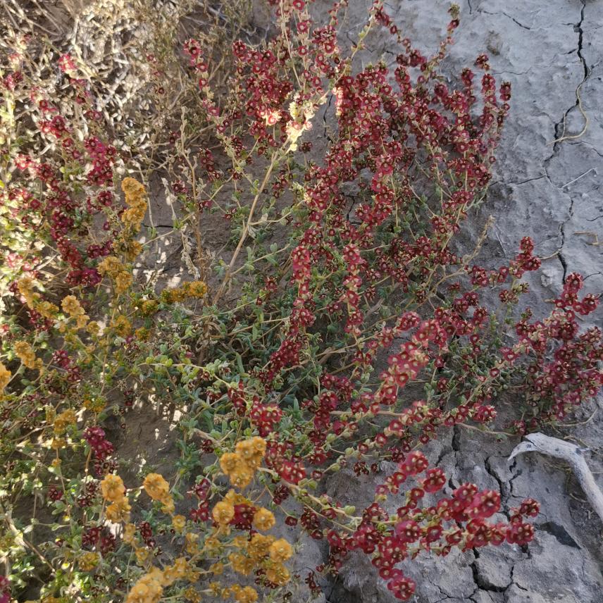 @一笑而过🍷🍷🍻🍻