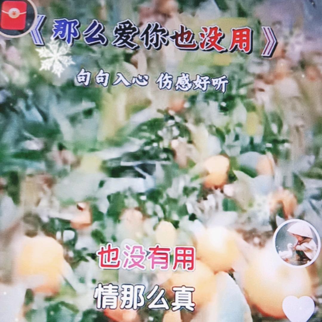 干爹
