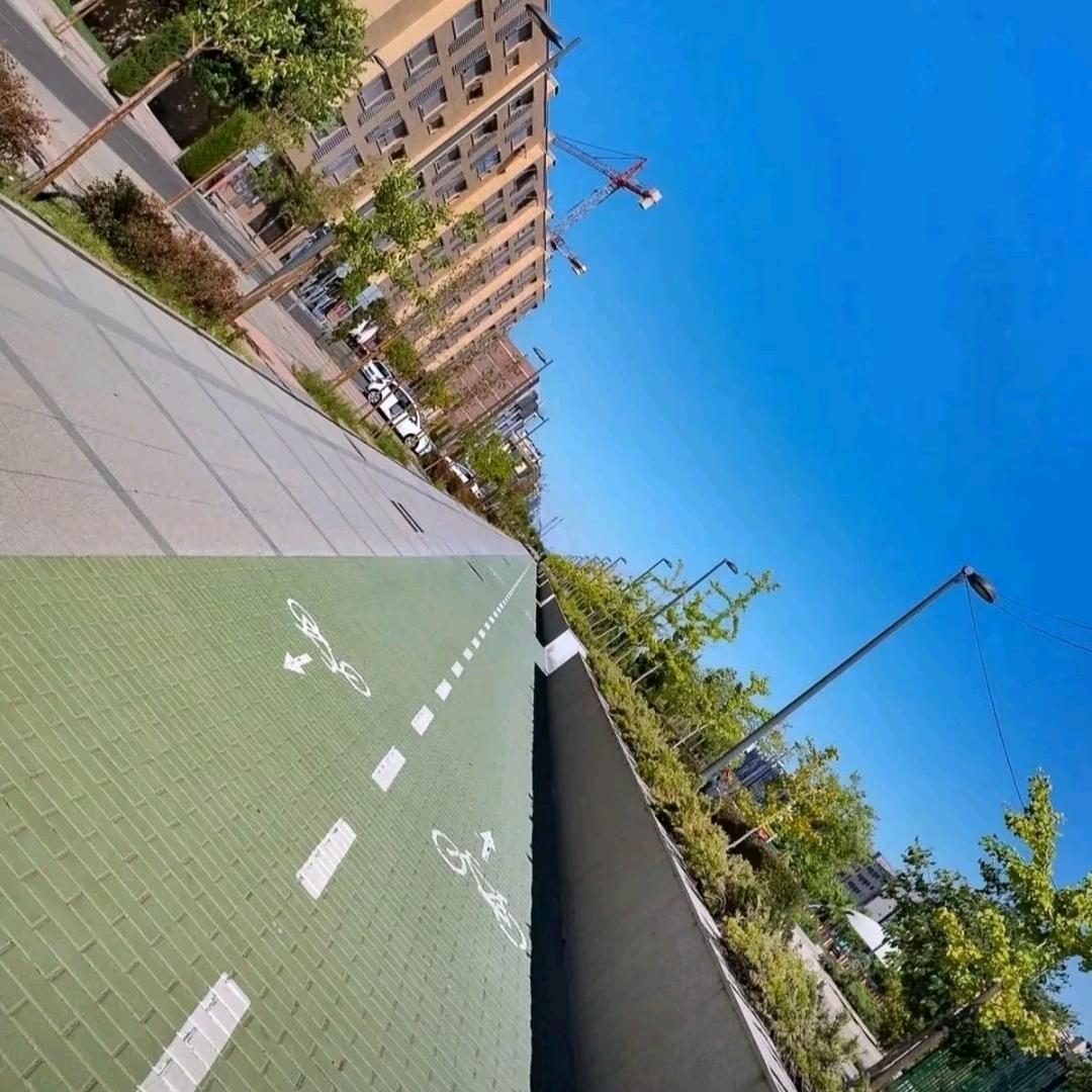 扬泽专营店臻品阁