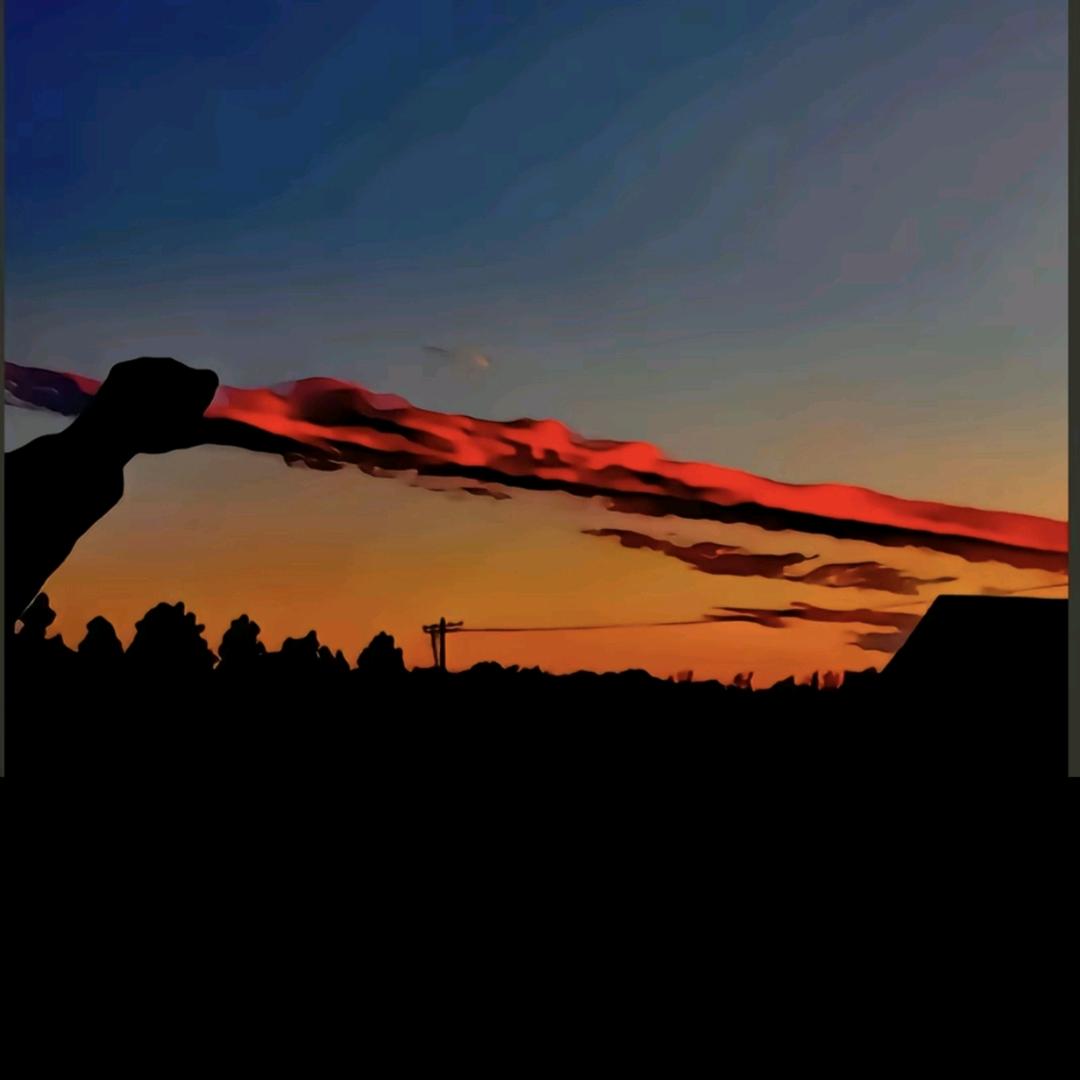 悟了个空