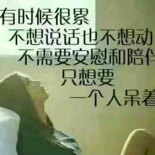 别烦我