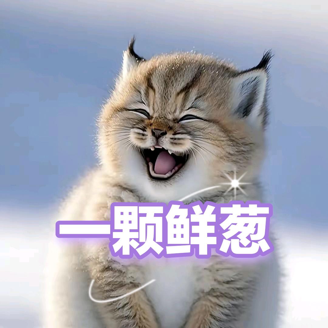 一颗鲜葱（盘点系列）