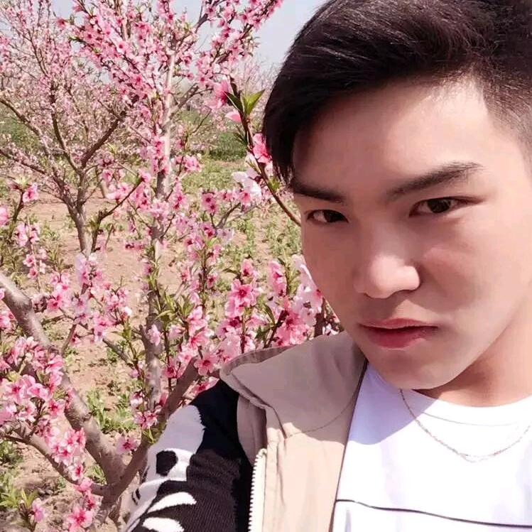 我来杨你