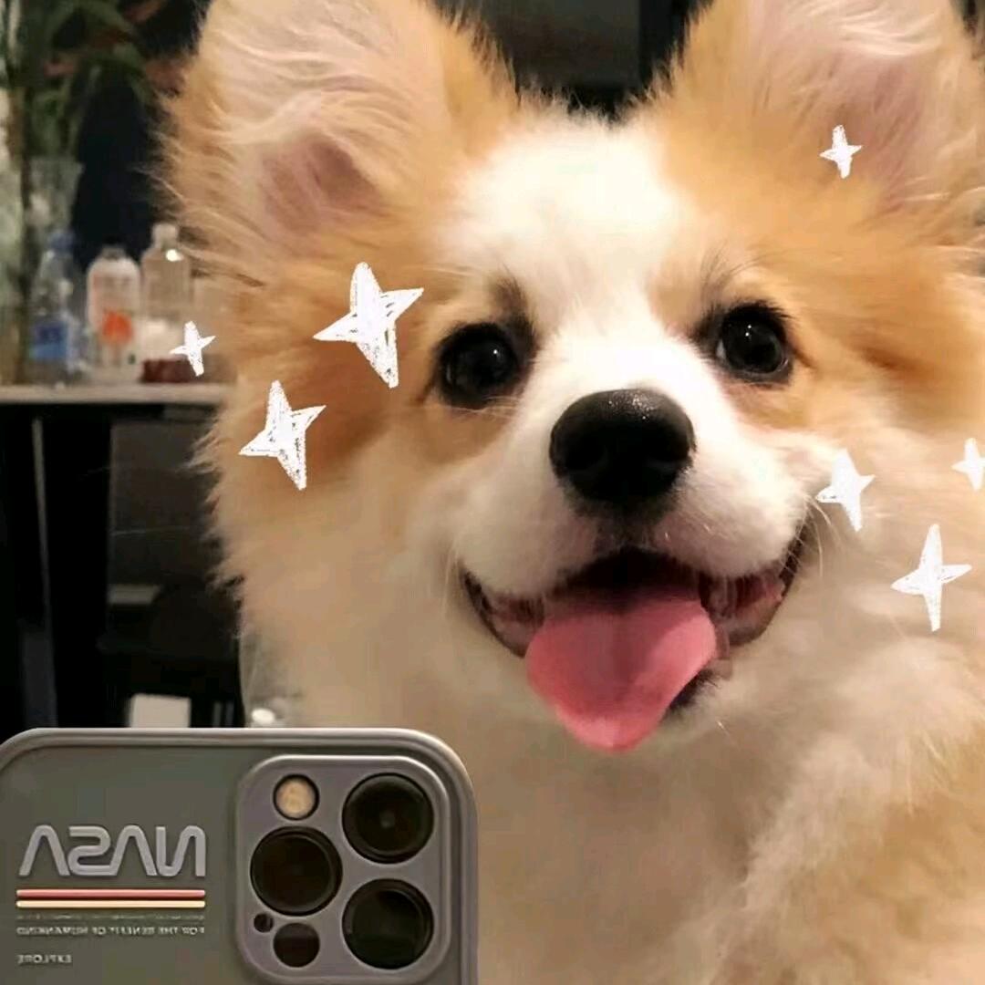 圈圈🍇