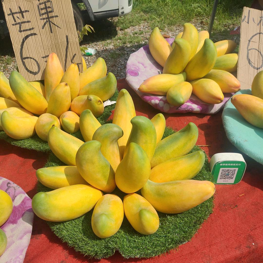 杰烨哥