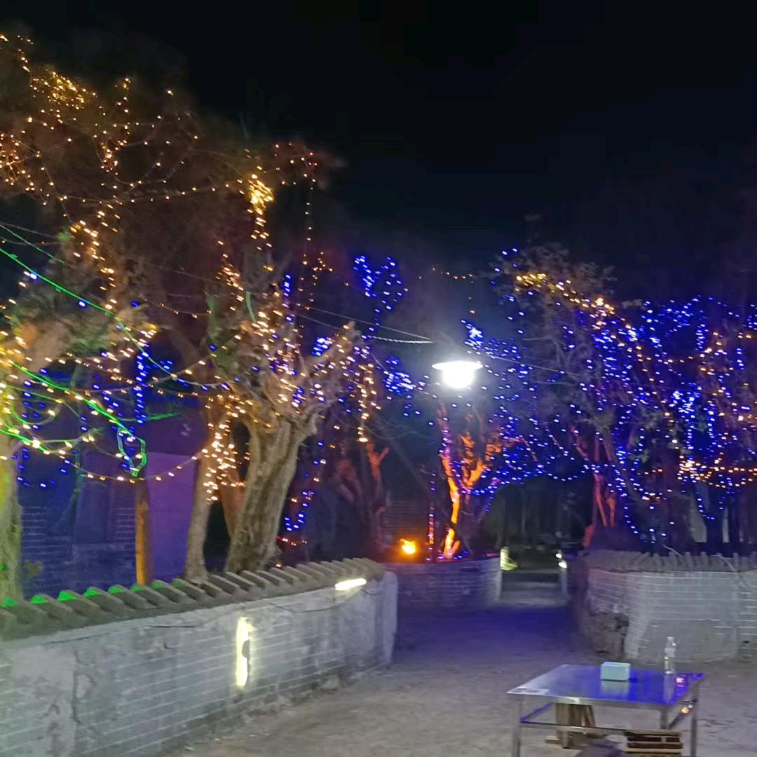 天娱