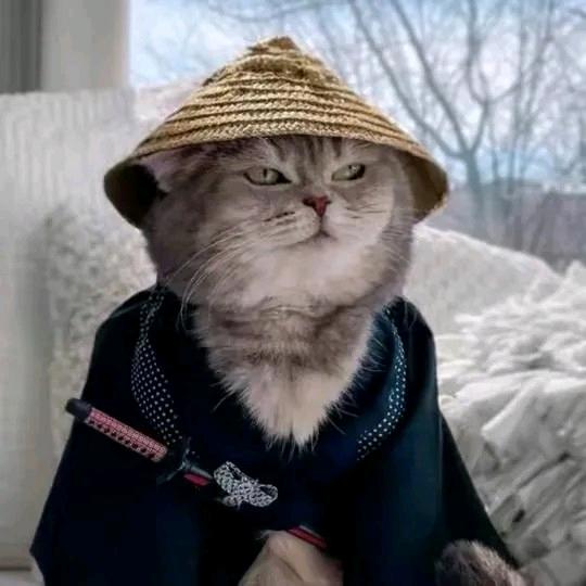 超级无敌旋转高踢一个闪