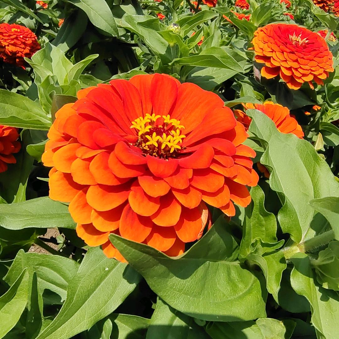 健康平安喜乐❤️