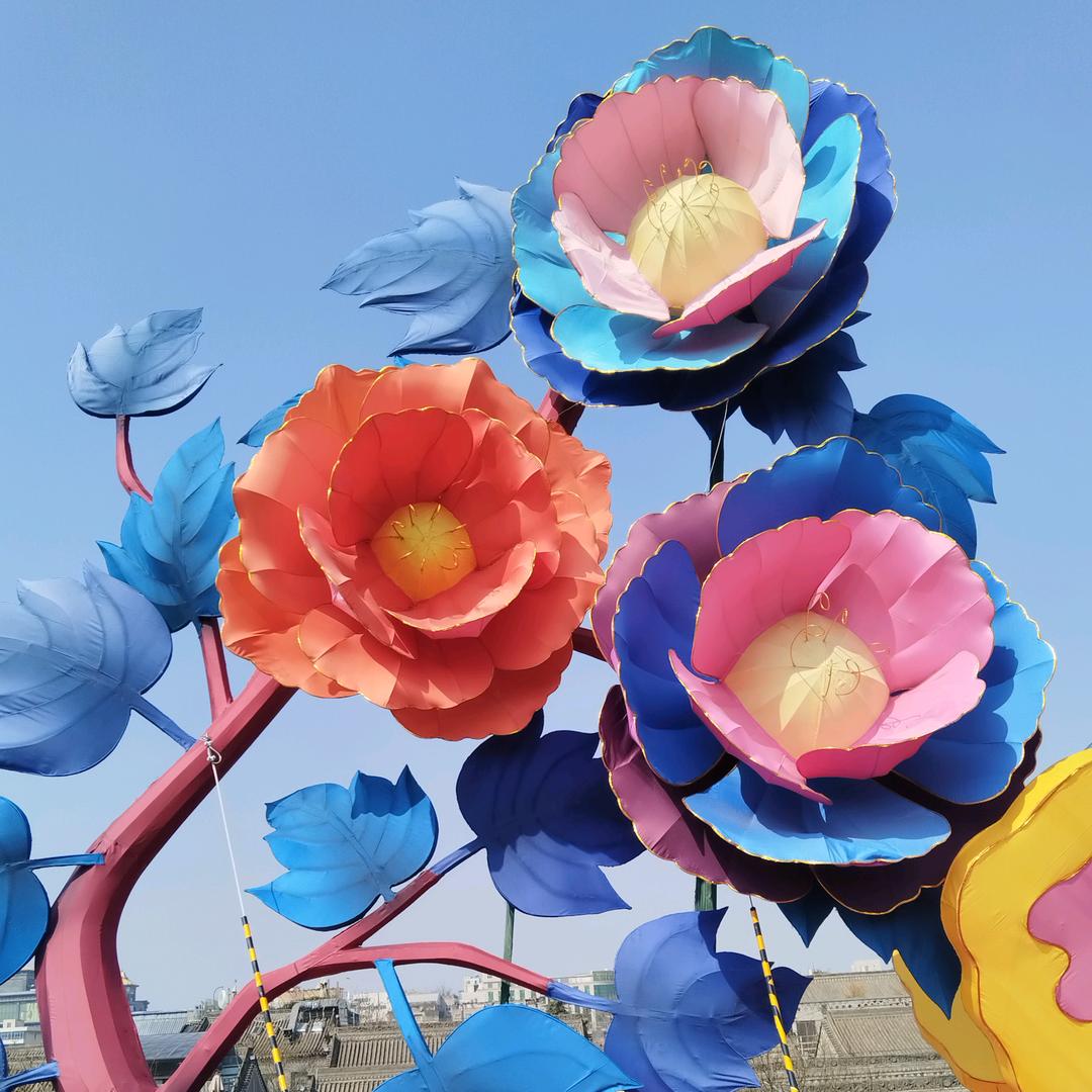 逍遥女，拒私聊