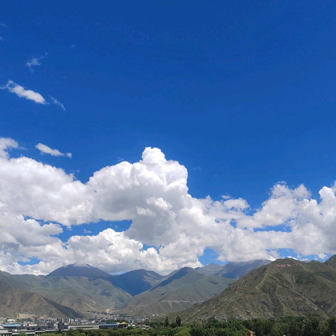 玉兰月季基地.高海成