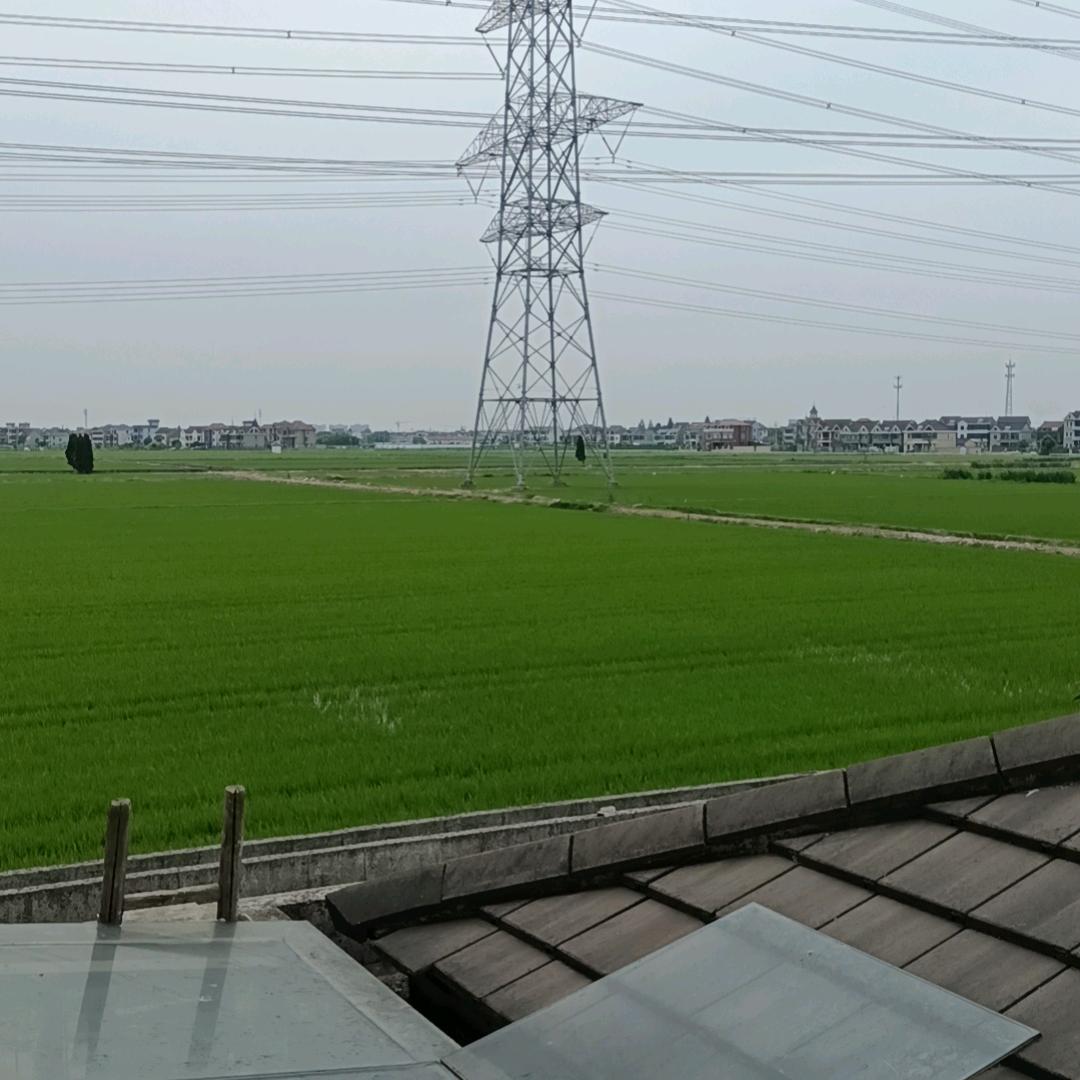 吉祥