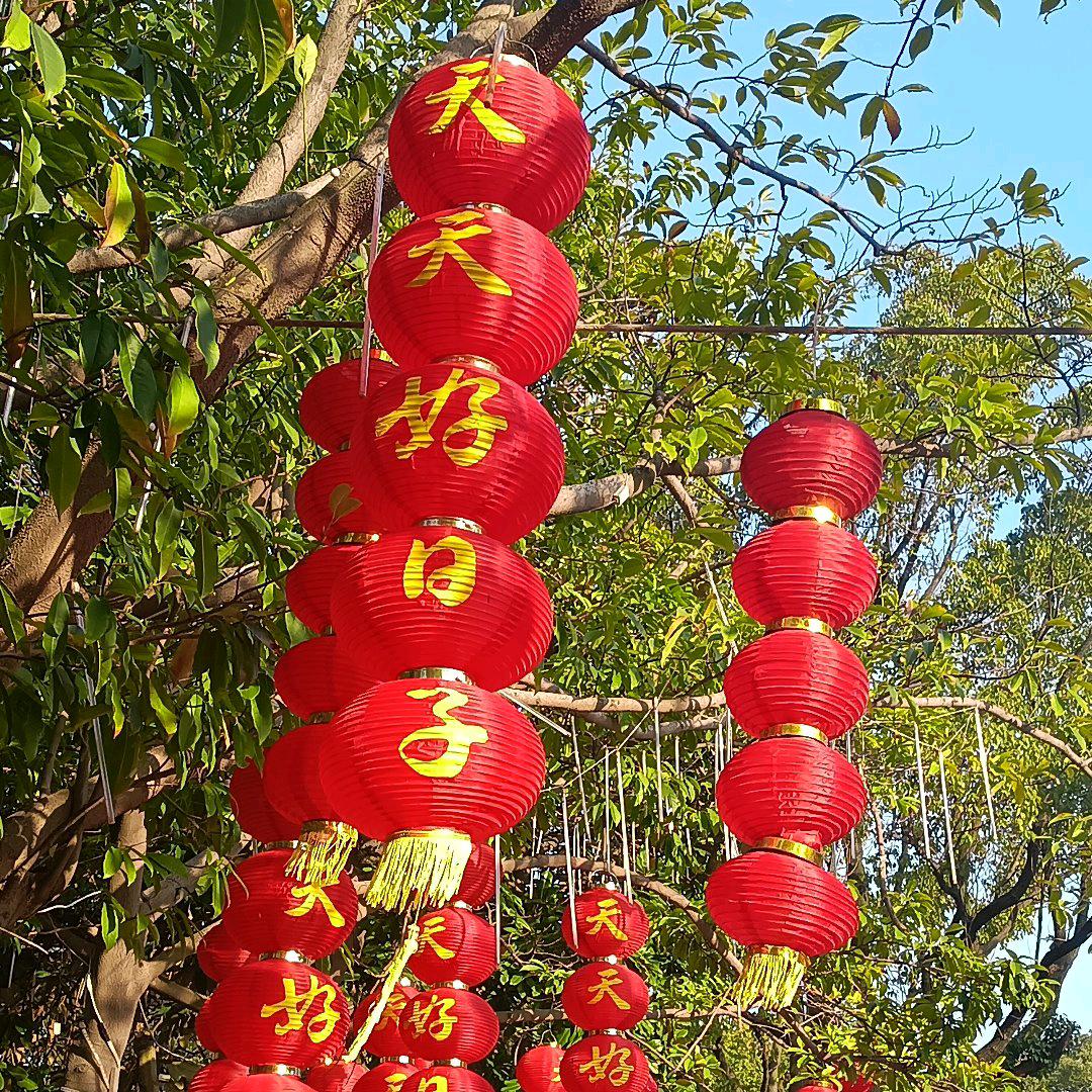 淘淘